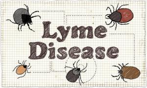 Lyme Disease Illustration